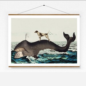Könnte beinhalten: Ein gerahmter Kunstdruck zeigt einen Wal in Dunkelgrau und Schwarz, mit einem Hund, der auf seinem Rücken steht. Der Hund ist braun und weiß. Das Meer ist blau und weiß, mit einem hellblauen Himmel. Der Druck ist in einem Holzrahmen.