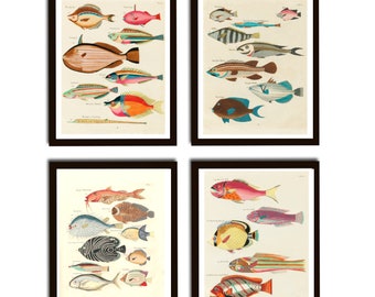 Vintage Fische Print 4er Set Galerie Wand Set  Illustrationen Print Set Wanddekoration Poster Format A4 Vintage