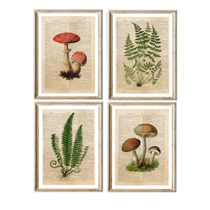 Vintage Print Set oder Einzelbilder Wald Pilze Farn Dictionary Wanddekoration Poster Wandkunst Küchendeko Pilz-Deko Küchenposter