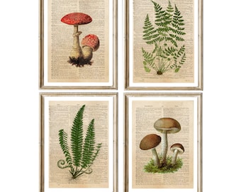 Vintage Print Set oder Einzelbilder Wald Pilze Farn Dictionary Wanddekoration Poster Wandkunst Küchendeko Pilz-Deko Küchenposter