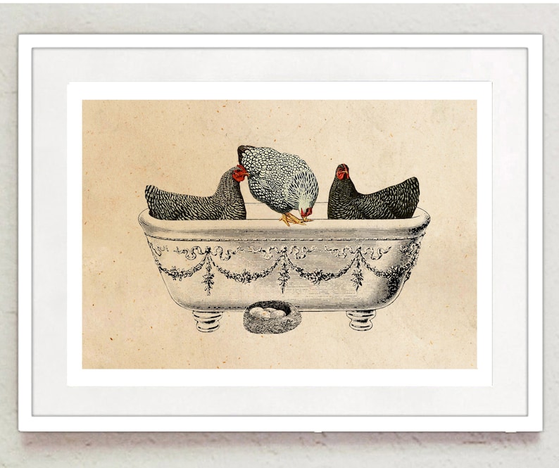 May include: Three chickens in a vintage bathtub with a nest of eggs at the bottom. The chickens are black and white with red combs.