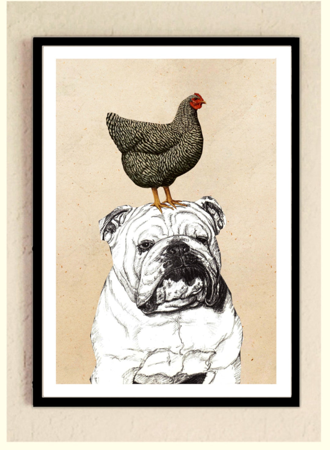 Bulldog Chicken Rosa Print English Bulldog and Chicken Collage Picture Illustration Poster ...