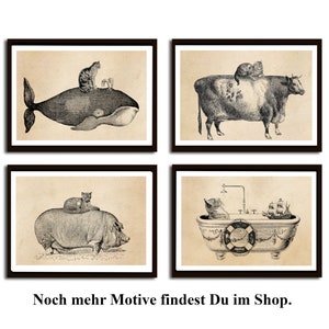 May include: Four black and white illustrations of cats riding various animals. The first image shows a cat riding a whale, the second shows a cat riding a cow, the third shows a cat riding a pig, and the fourth shows a cat riding in a bathtub with a ship.