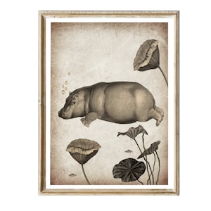 Print tauchendes Nilpferd Nr.2 Vintage Collage  Bild Illustration Mini- Poster Wanddeko Wandkunst