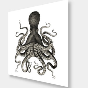 Könnte beinhalten: Schwarz-Weiß-Illustration eines Oktopus mit detaillierter Schattierung. Der Oktopus ist mittig platziert, seine Tentakel erstrecken sich anmutig. Das Kunstwerk befindet sich auf weißem Hintergrund, was einen starken Kontrast erzeugt. Der Stil erinnert an Vintage-Illustrationen.