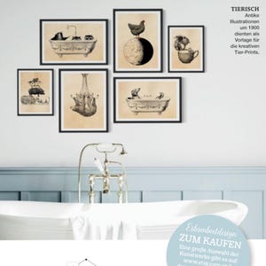 Vintage Print Cottage Decor Chicken Bath Day Collage Poster Lexicon Wall Decoration Chicken Wall Art image 5