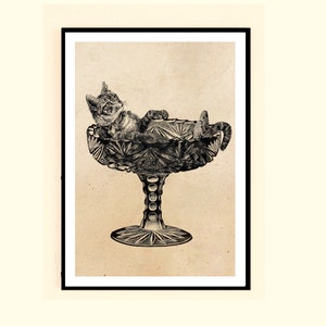 May include: A black and white illustration of a cat relaxing in a crystal bowl. The bowl has a decorative, cut-glass design and a pedestal base.