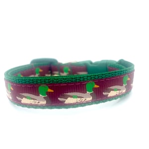 May include: A burgundy and green dog collar featuring a repeating pattern of mallard ducks. The collar has a green buckle and trim, and the ducks are depicted with green heads, yellow beaks, and brown and gray bodies.