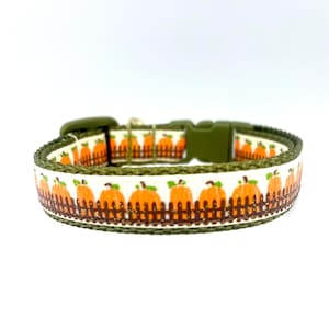 Pumpkin Patch Breakaway Cat Collar