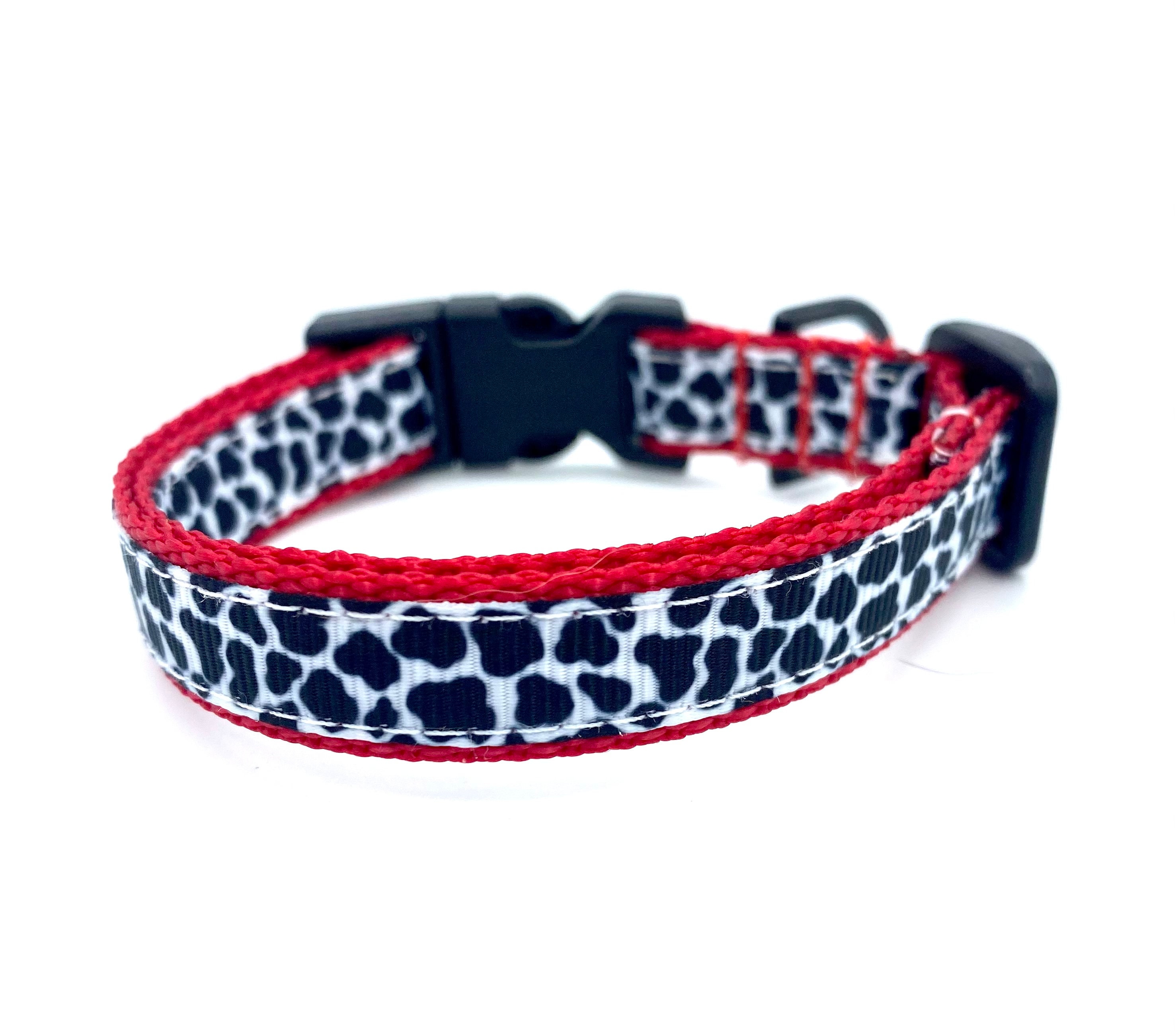 ebay kitten collars