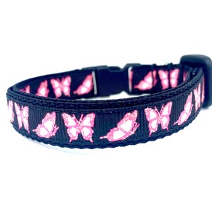 Butterflies Breakaway Cat Collar