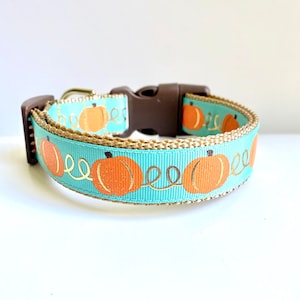 Fall Pumpkins Dog Collar