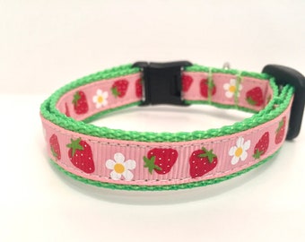 strawberry dog collar