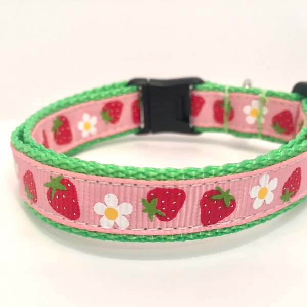 Strawberry Breakaway Cat Collar