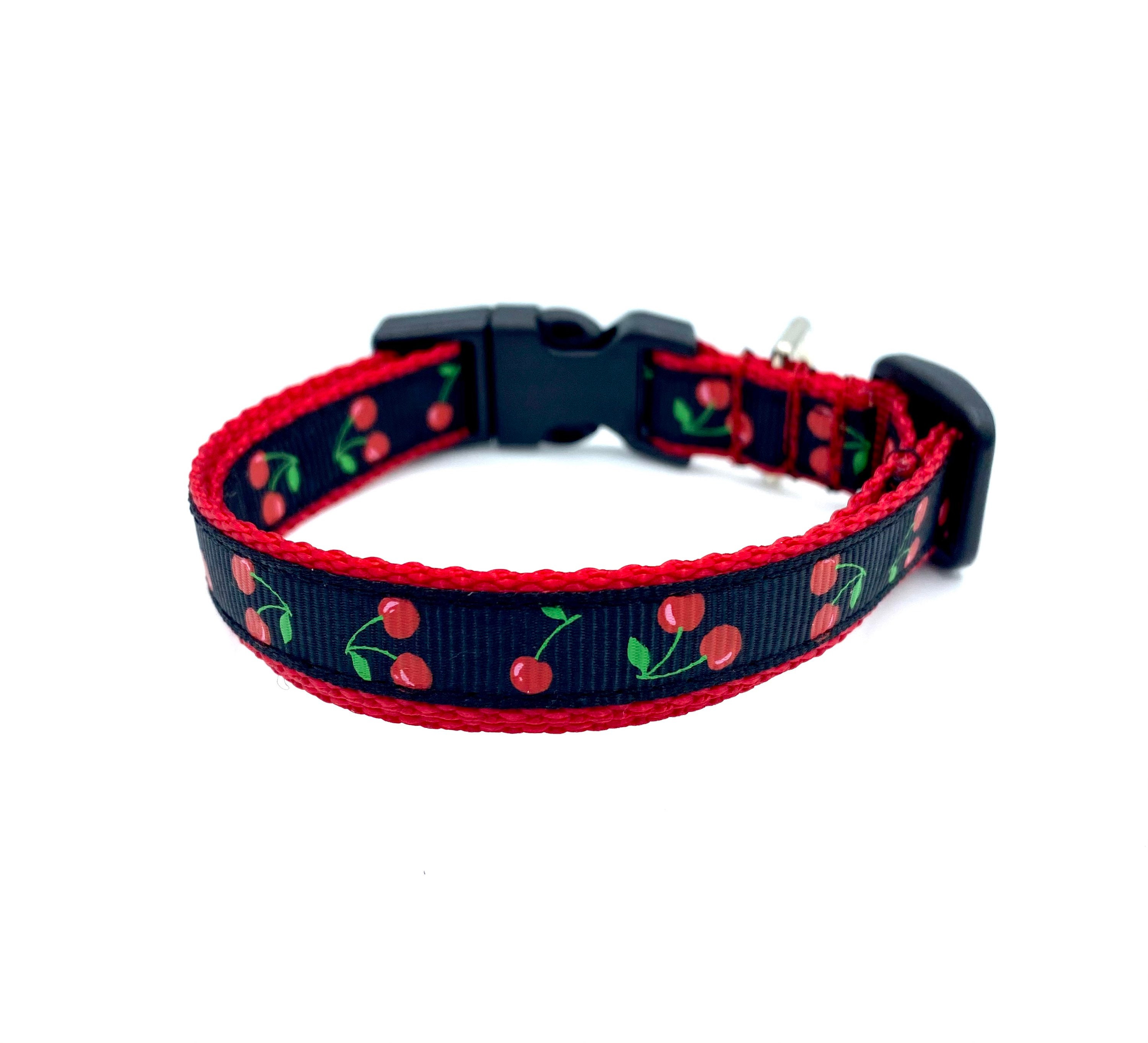 webmaster pro harness