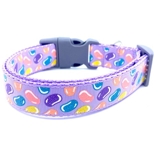 Dog Leash Holder for Wall Collar Holder Dog Bone Leash Etsy