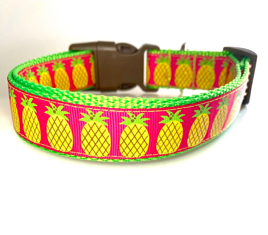 Pineapple Dog Collar Etsy