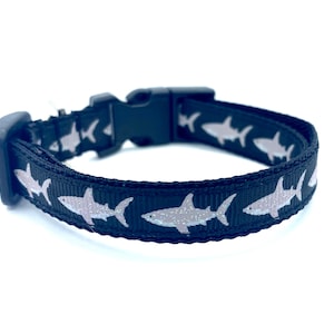 Sharks Breakaway Cat Collar