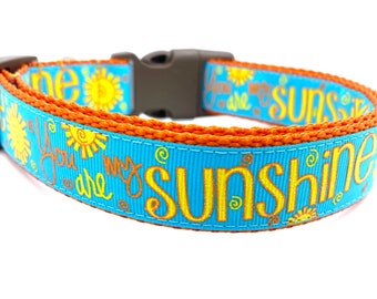 Sunshine dog collar Clearance