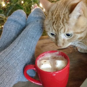 May include: A red mug filled with hot chocolate and marshmallows sits on a wooden table next to a ginger cat. The cat is looking at the mug with interest.