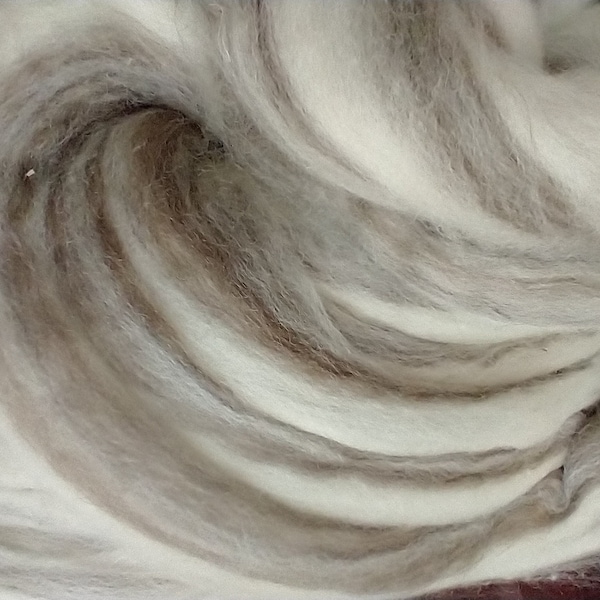 Mixed Blue-Faced Leicester Roving