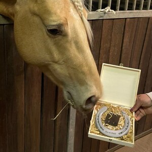 genuinely worn horseshoe with engraving incl. wooden box All the best for the laying of the foundation stone Gift idea for the topping-out ceremony indentation Relocation image 4