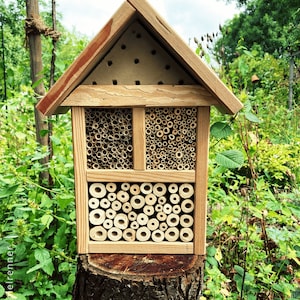 insect hotel