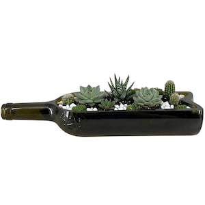Upcycling Planter aus alter Weinflasche – Blumentopf für Sukkulenten, handgefertigte Vintage-Deko, Geschenk für Pflanzenfans
