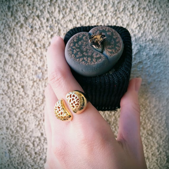 Living Stones Ring (Gold Vermeil) Sterling Silver Lithops jewelry cactus succulent band