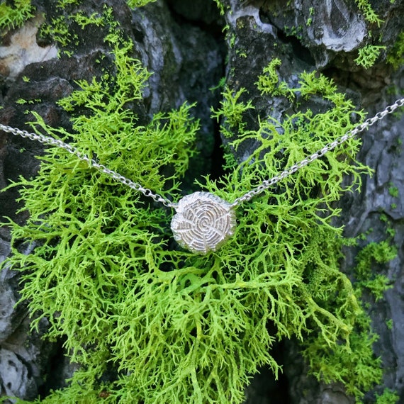 Tree Rings Sterling Silver Pendant Necklace