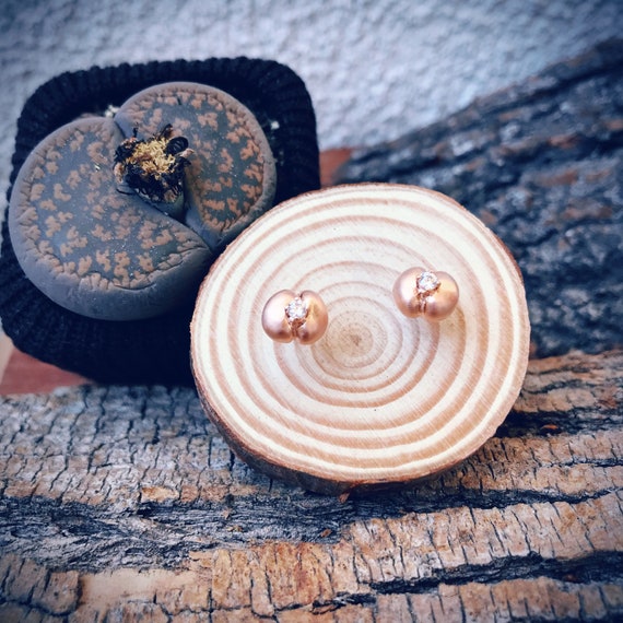 Living Stones Stud Earrings (Rose Gold Vermeil) Sterling Silver organic flower seed jewelry earth lover cactus succulent