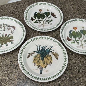4 Botanischer Garten Portmeirion 10.5 Speiseteller Mancinella Muscipula Fritillaria