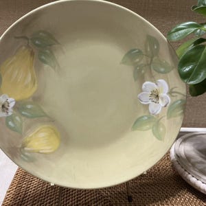 Pfaltzgraff AURORA Muster Akzent Speiseteller 11 1/4 (LESEN)