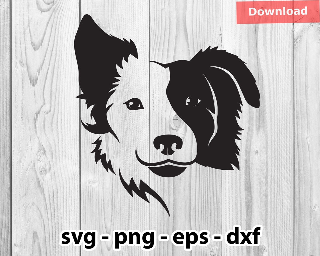 Border Collie Dog Svg Png Dxf Eps Instant Download for Print Cut ...