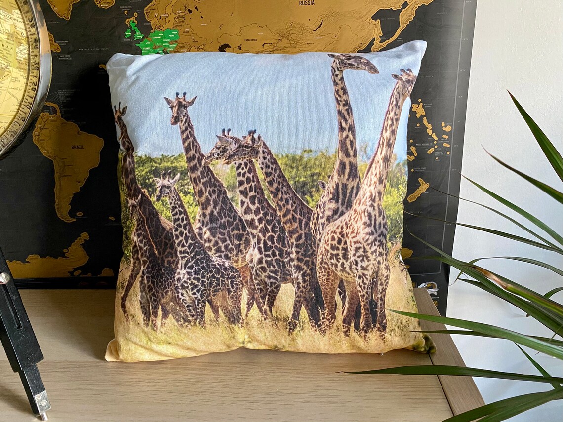Giraffe Photo Cushion Etsy