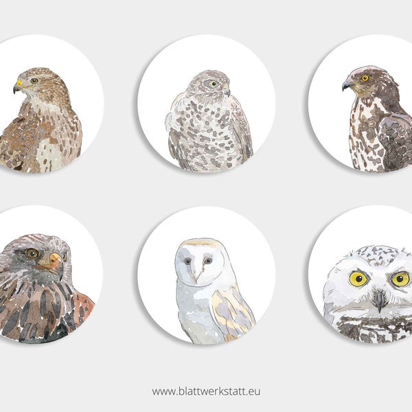 Aufkleber, Sticker, Greifvögel, 60mm, rund, 12 Stück, gedruckt