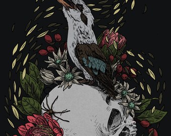 Illustration | Fine Art Print |  Kookaburra