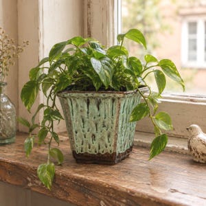 Op de afbeelding: Een vierkante keramische plantenpot met een getextureerde druipglazuurafwerking in mintgroen en donkerbruin, met een hangende pothosplant met hartvormige, groen-geel gevlekte bladeren, geplaatst op een houten ondergrond.