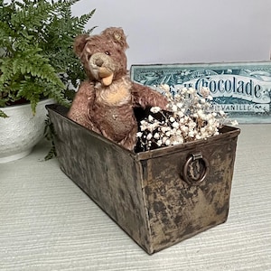 Op de afbeelding: Een vintage bruine teddybeer zit in een rechthoekige metalen bak gevuld met witte bloemen. De bak heeft een handvat en vertoont tekenen van slijtage. Een bord met "Chocolade" is zichtbaar op de achtergrond.