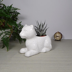 Può includere: Vaso da fiori in ceramica bianca a forma di leopardo, con una piccola pianta grassa al suo interno. Il vaso è appoggiato su una superficie bianca.