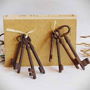 Alte Schlüssel, Bartschlüssel, Deko,13,5cm,groß in Nordrhein-Westfalen -  Lohmar