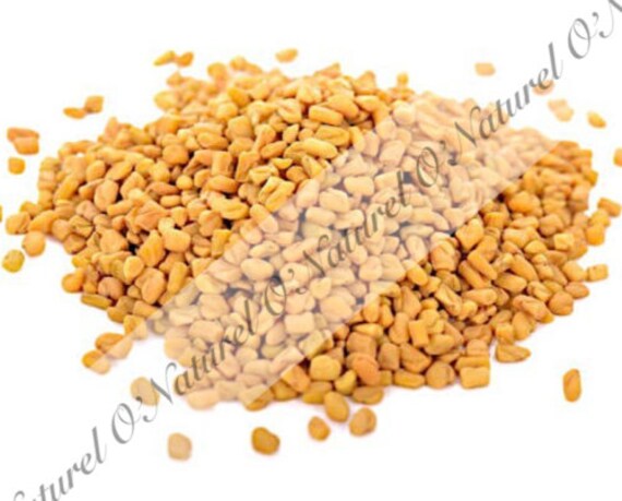 Graines de Fenugrec Bio 40G Fenugreek Seed, Semilla Fenogreco