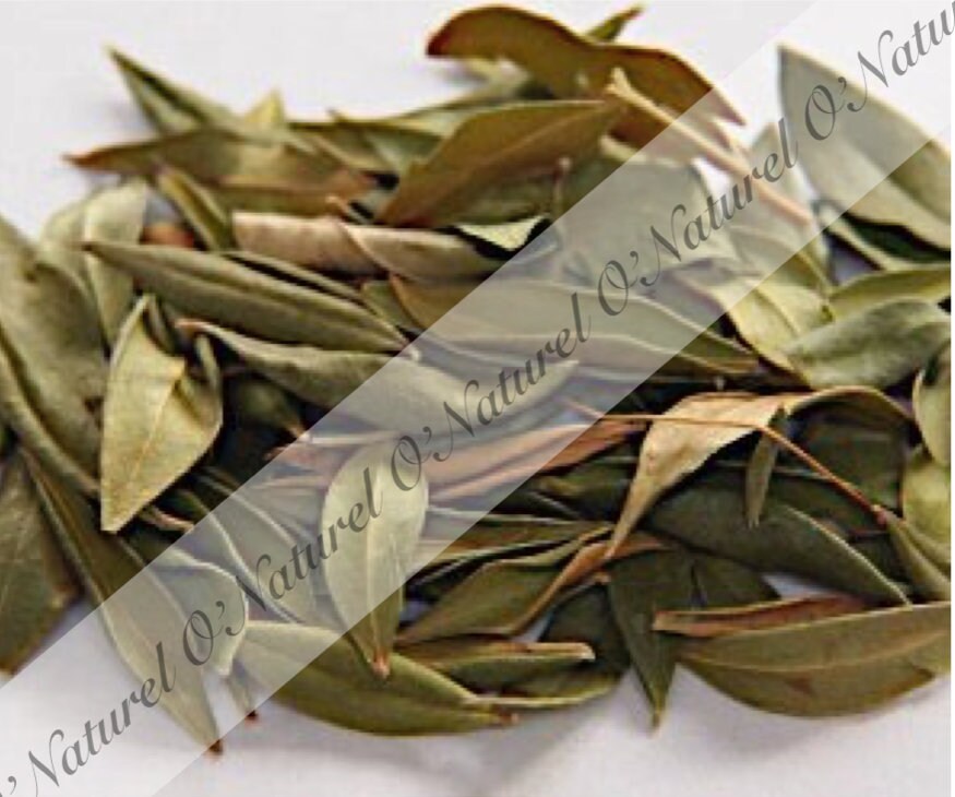 Feuilles de Myrte Séchée Bio 100% Naturelle 40G