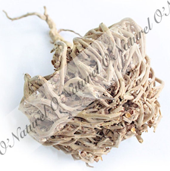 Rose de Jéricho Chajarat Mariam Bio 100% Naturelle