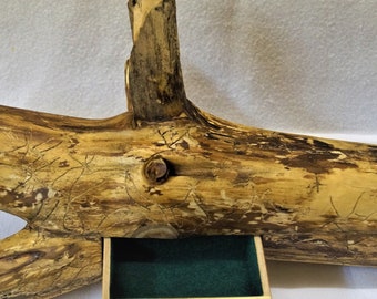 Rustic jewelry box made from a pine branch.