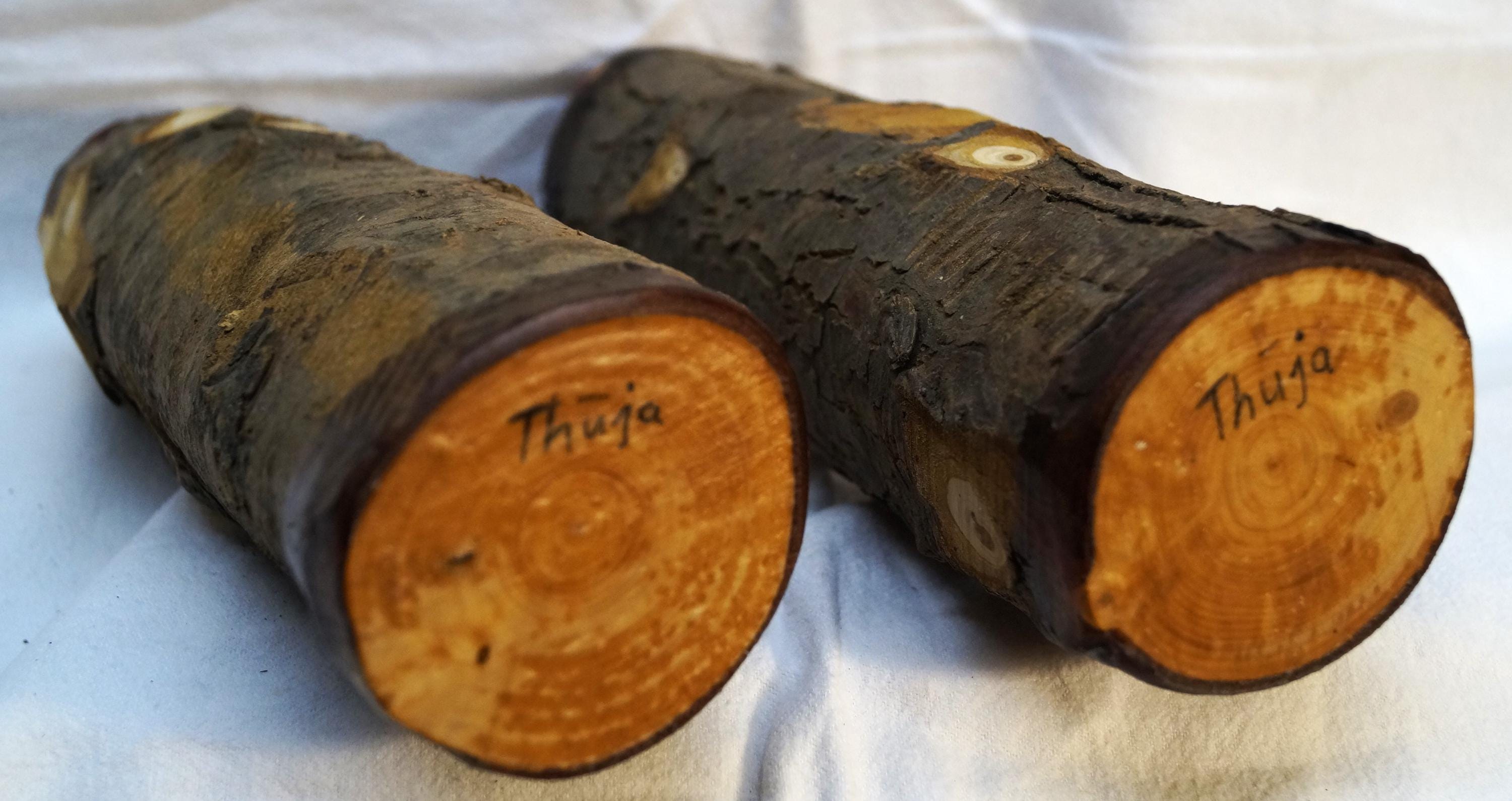 2 Stck Thuja Stammholz Rohling, Rundholz, Drechseln, Messerriff,  Bastelholz. - Etsy.de