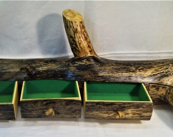 A large rustic jewelry box made from a pine trunk