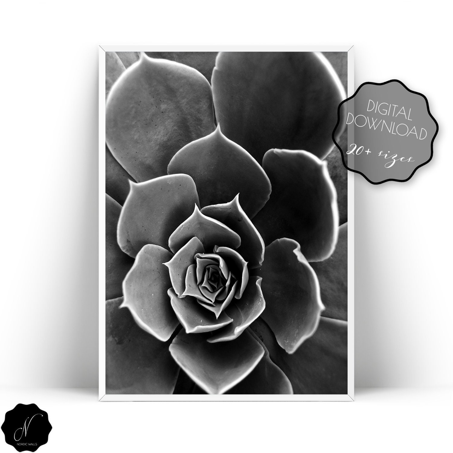Succulent Printable Wall Art Black And White Art Botanical Etsy