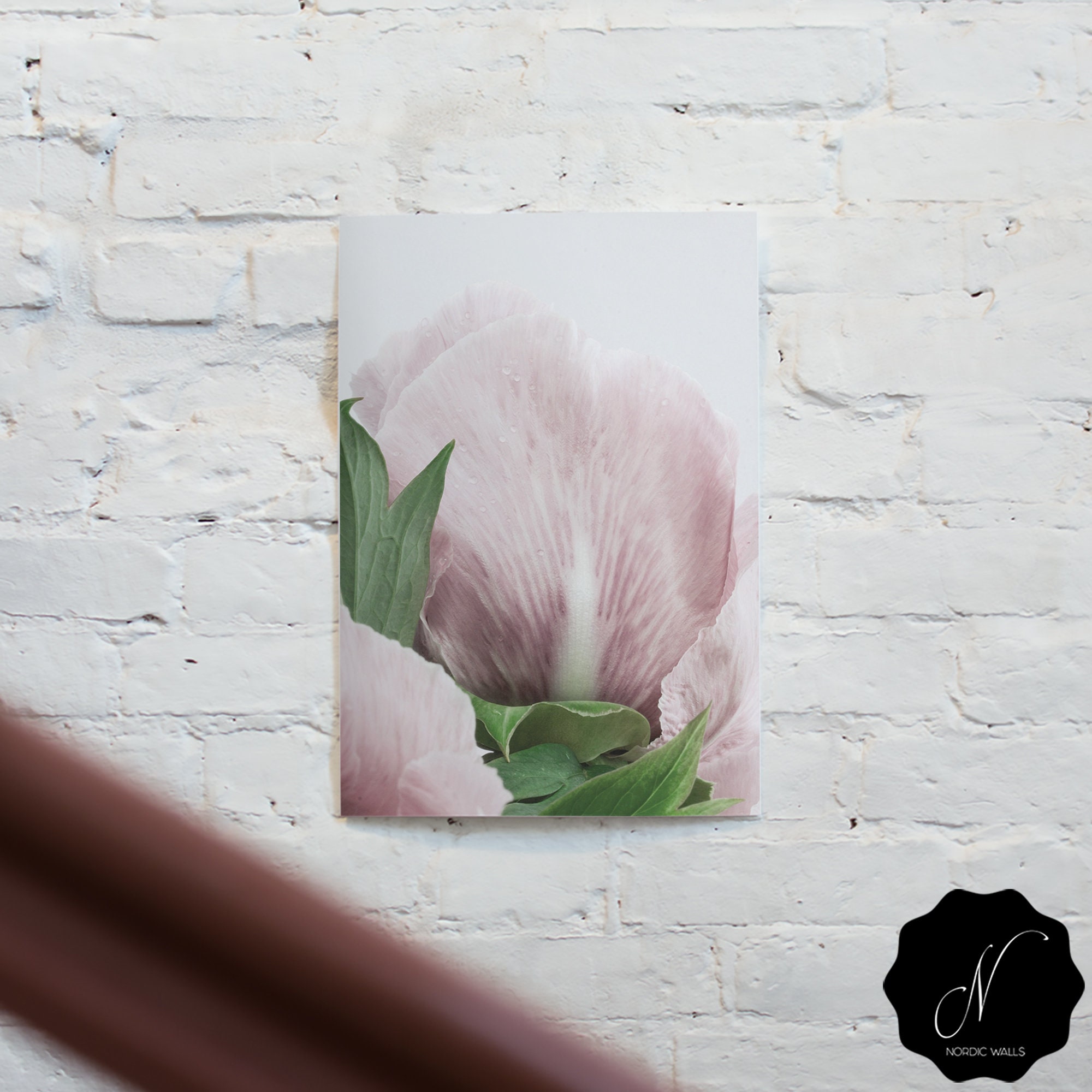 Floral Wall Art Set Of 3 Peony Wall Art Fashion Print Peony Etsy