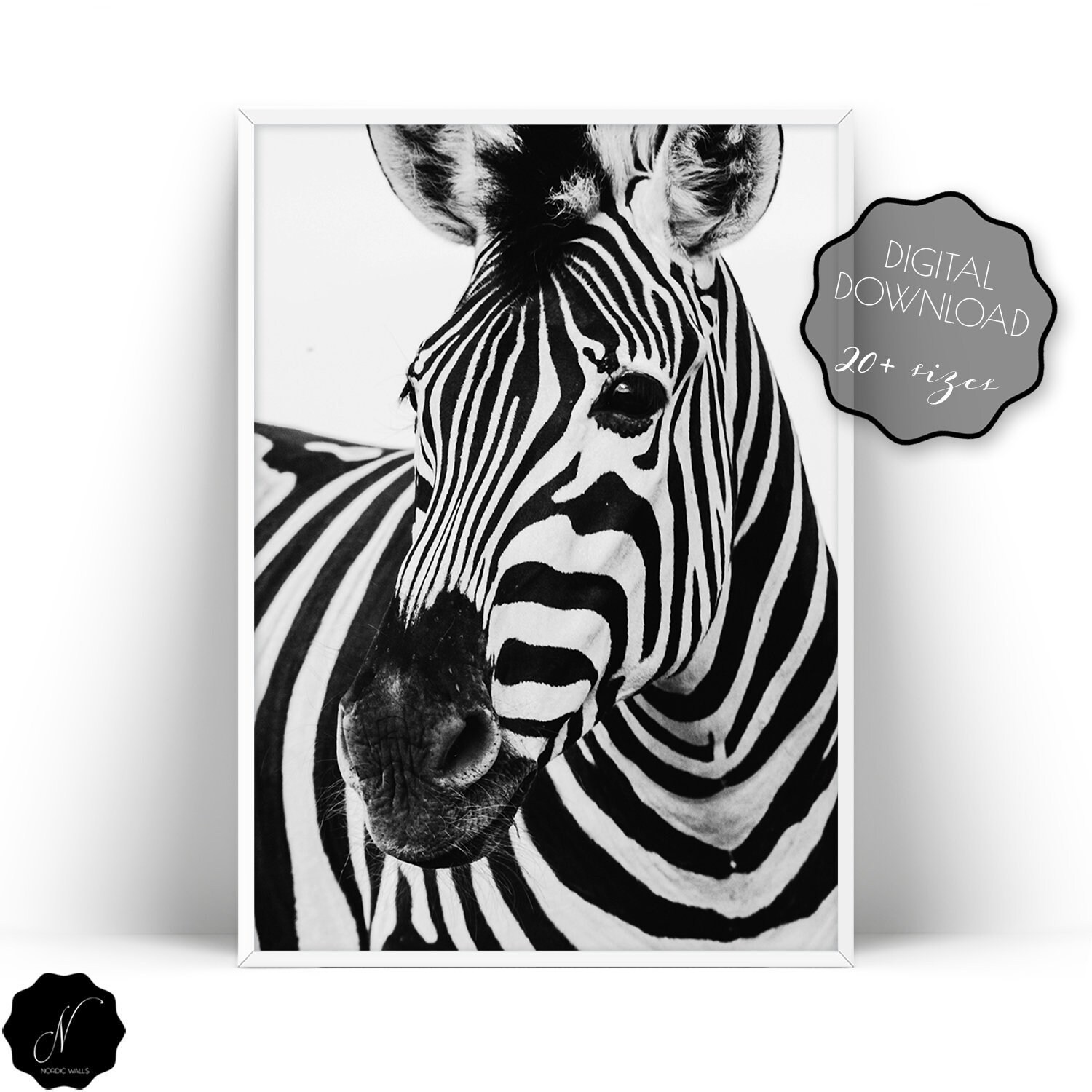 Zebra Printable Wall Art Zebra Wall Art Prints Safari Animal Etsy